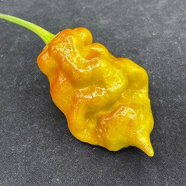 Flaming Nougat - Seeds - The Pepper Pantry (Formerly Marie Sharp's)